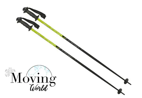 Skis poles